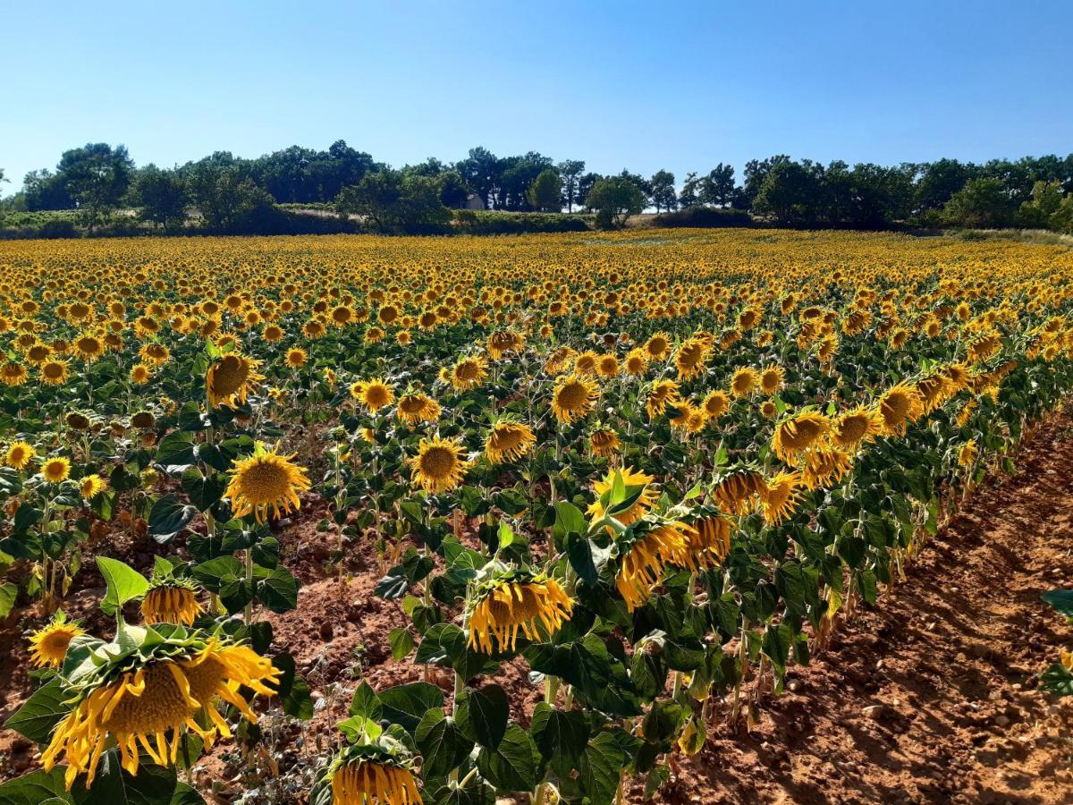 La Vita Dolce, Luberon Grambois Luaran gambar