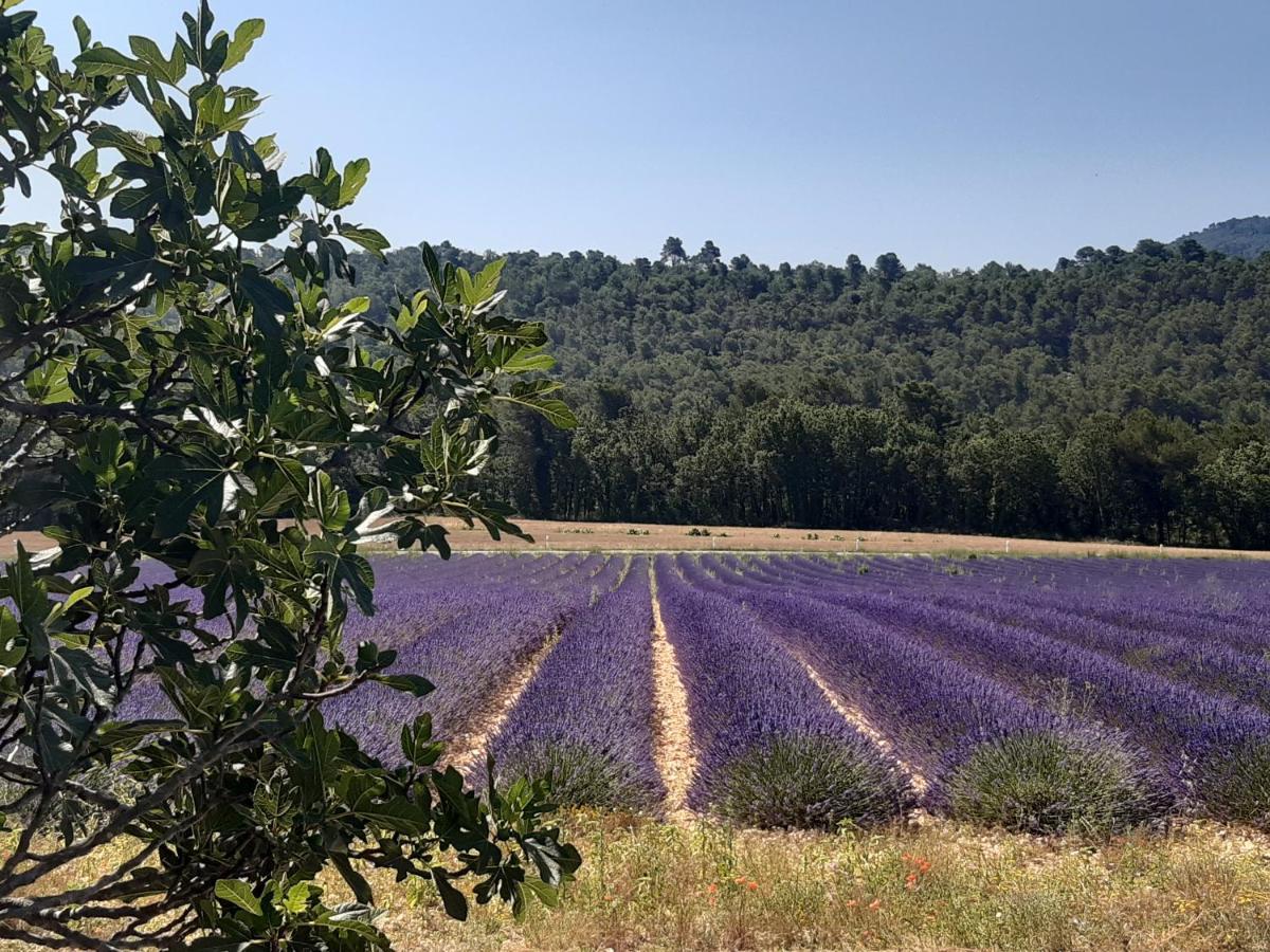 La Vita Dolce, Luberon Grambois Luaran gambar
