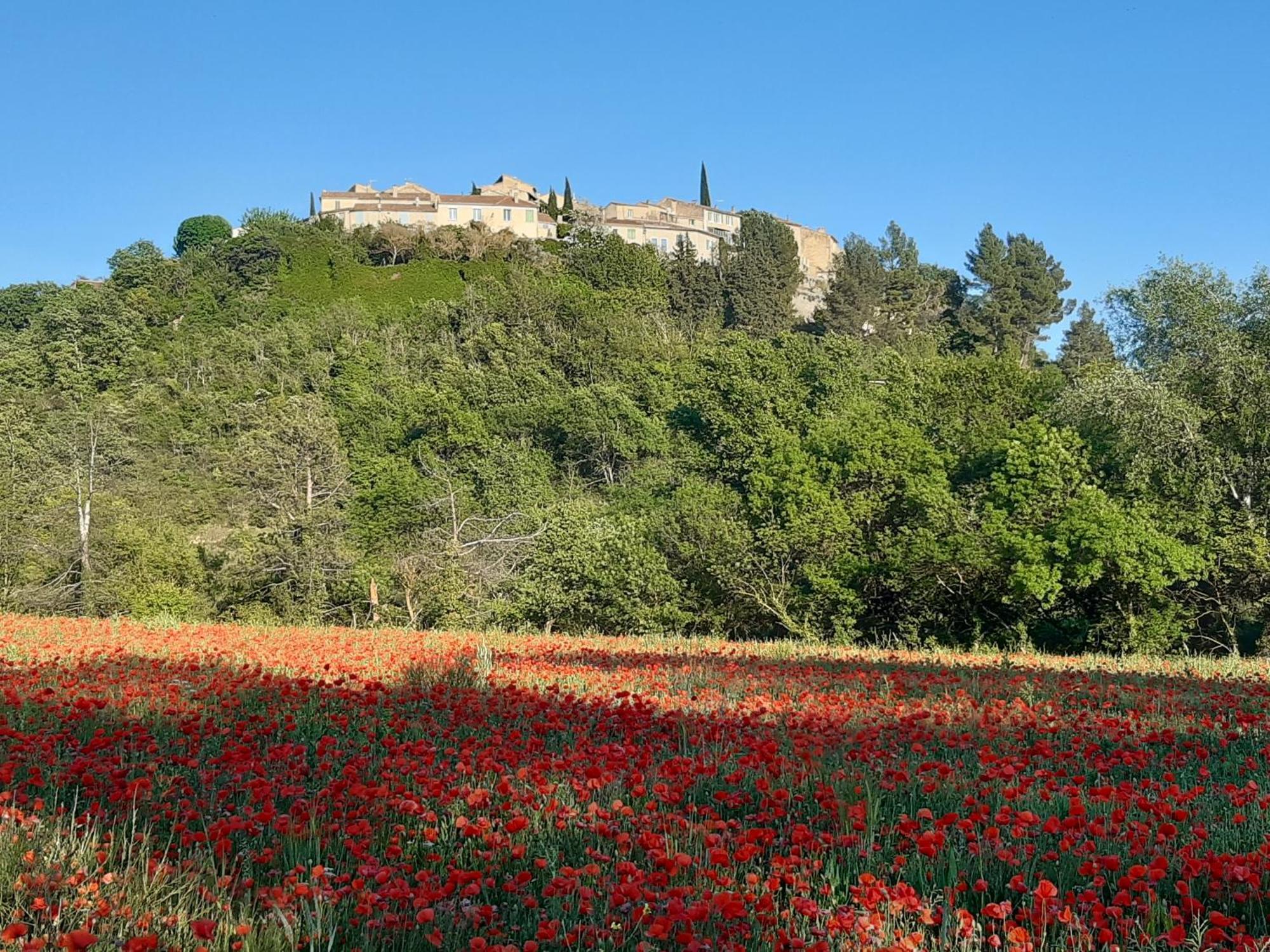La Vita Dolce, Luberon Grambois Luaran gambar